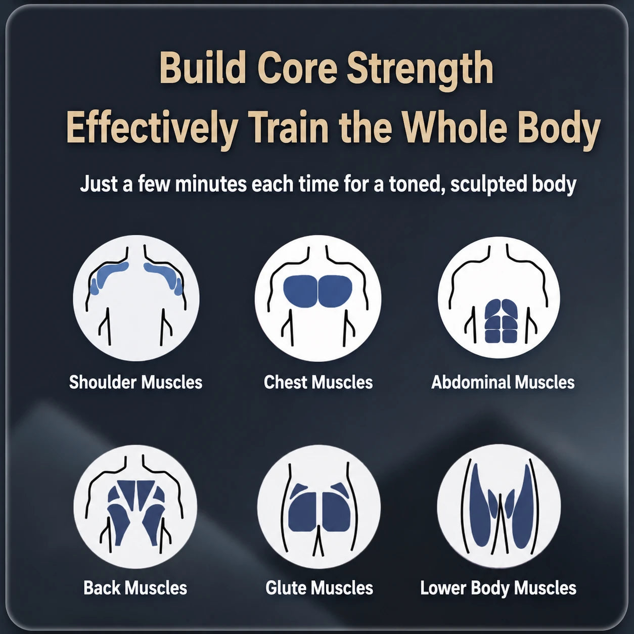 Muscle groups targeted by the assisted rebound ab roller