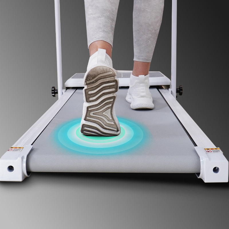 Model walking on FlexiHome SDJ-DDZP01 walking pad